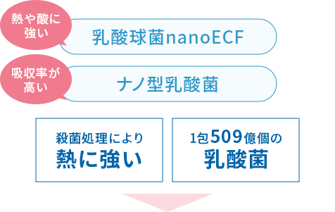 乳酸球菌nanoECF｜ナノ型乳酸菌